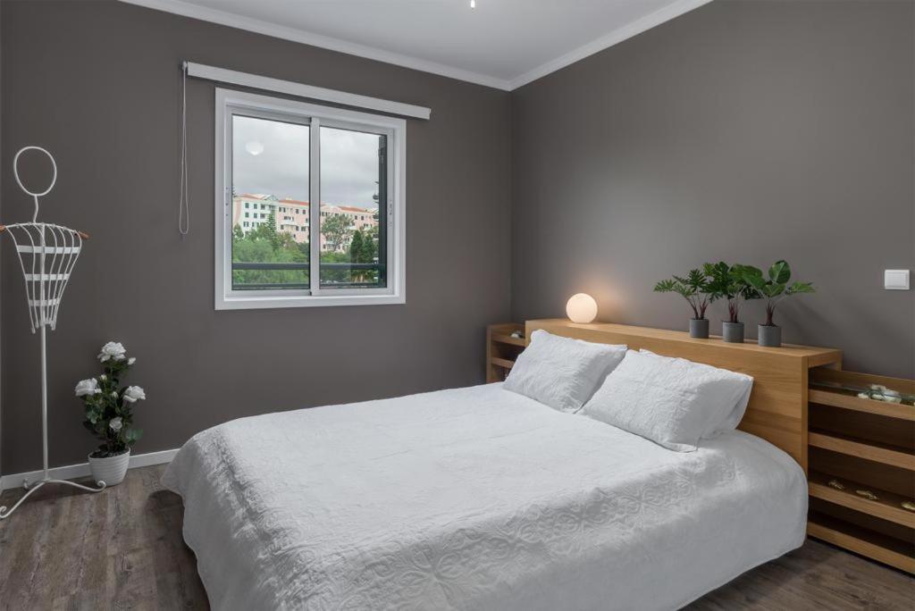 Appartement Flh Nature Flat With Balcony *